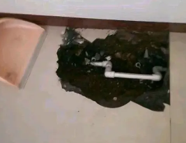 涡阳卫生间测漏水多少钱